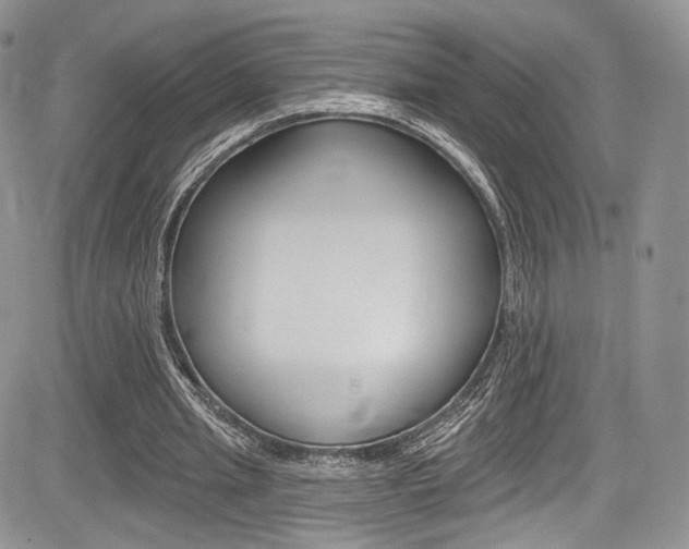 X0000085800437200703161004