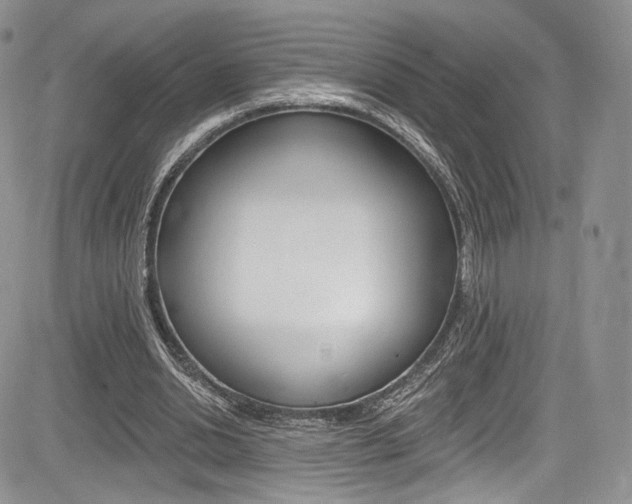 X0000085800438200703161004