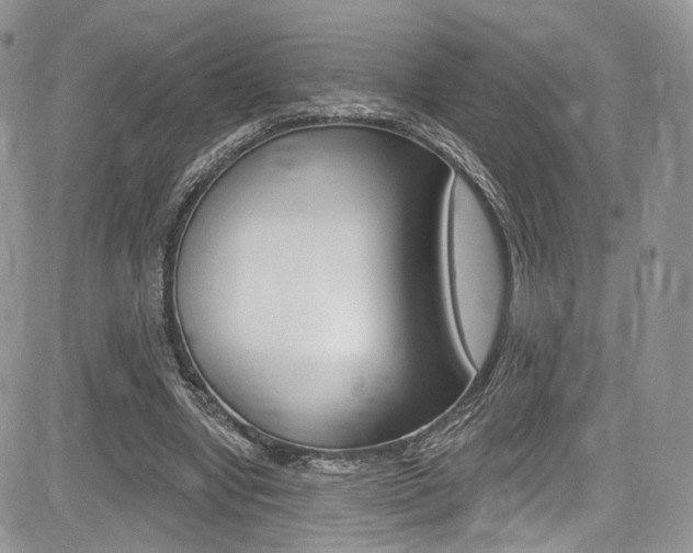 X0000085800442200703161004