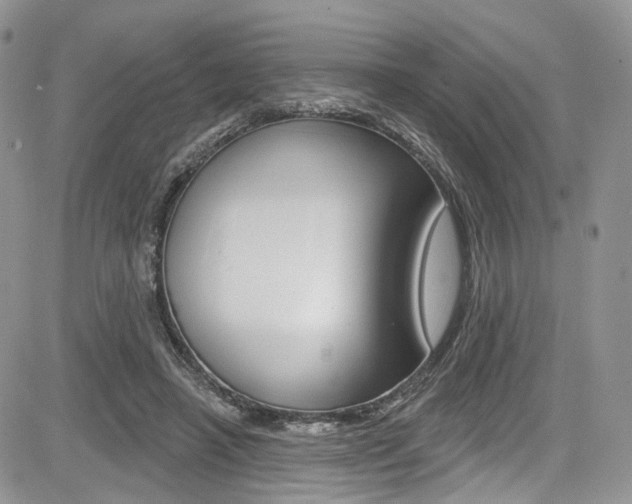 X0000085800450200703161004