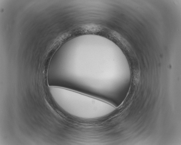 X0000085800451200703161004