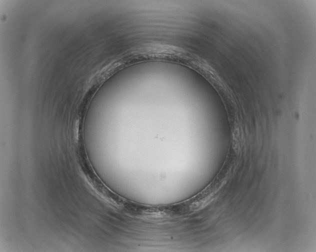 X0000085800454200703161004