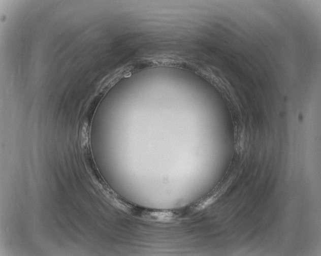 X0000085800478200703161004
