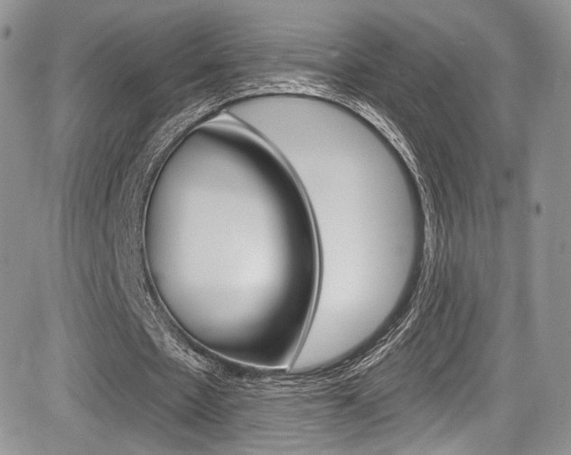 X0000085800481200703161003