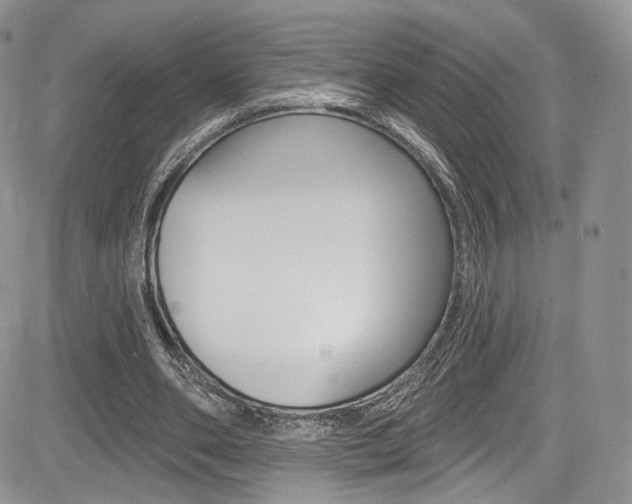 X0000085800486200703161003