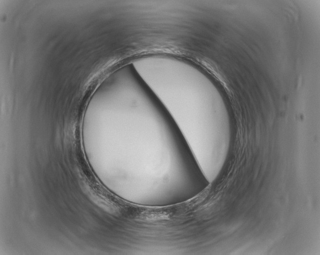 X0000085800491200703161003