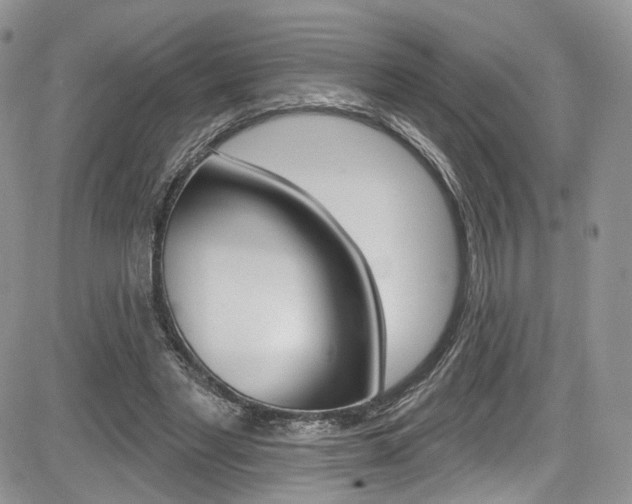 X0000085800493200703161003