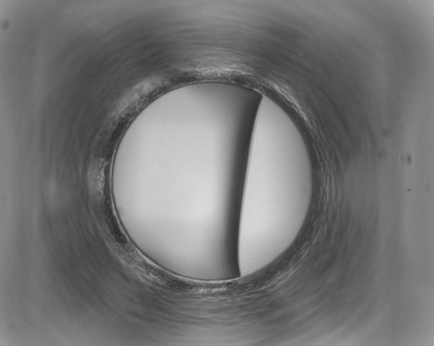 X0000085800495200703161003
