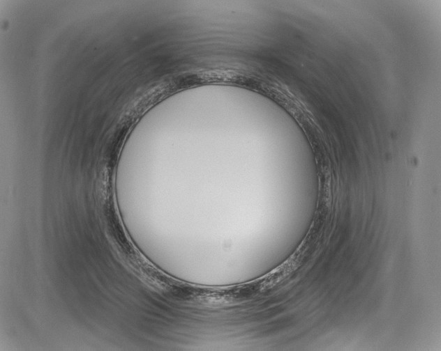 X0000085800498200703161003