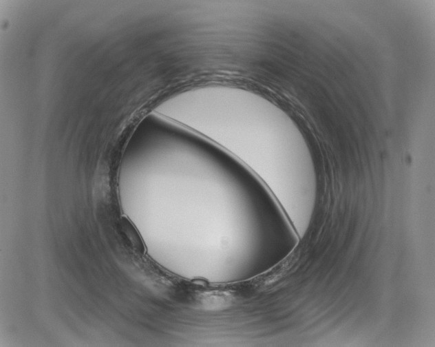 X0000085800508200703161003