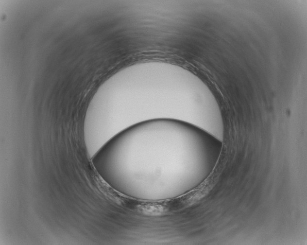 X0000085800512200703161003