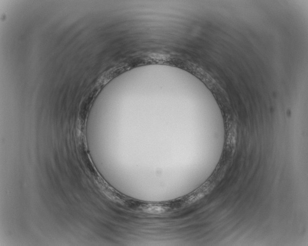 X0000085800518200703161003