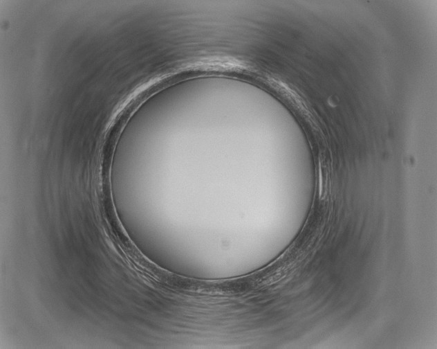 X0000085800531200703161002