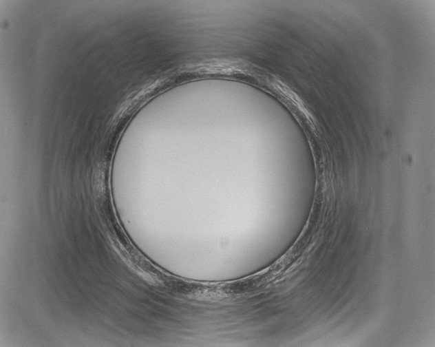 X0000085800537200703161002