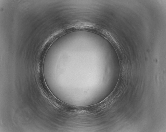 X0000085800539200703161002