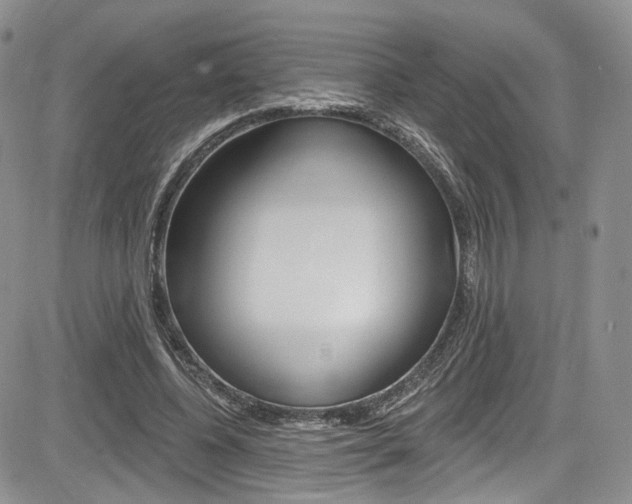 X0000085800540200703161002