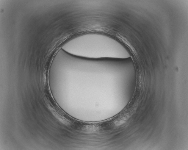 X0000085800541200703161002