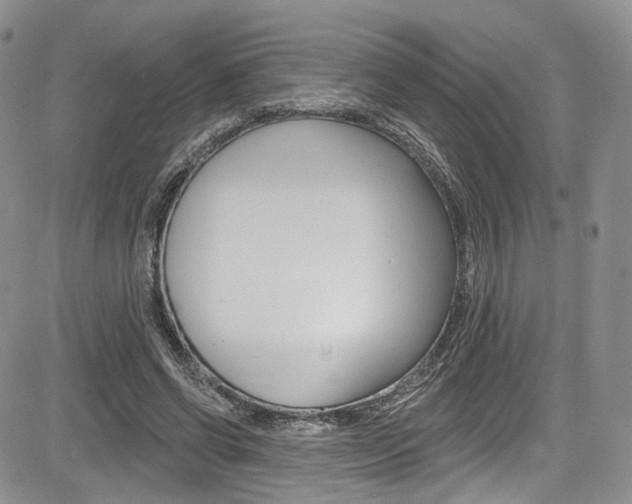 X0000085800542200703161002