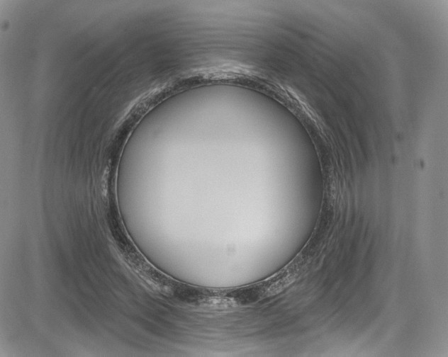 X0000085800543200703161002