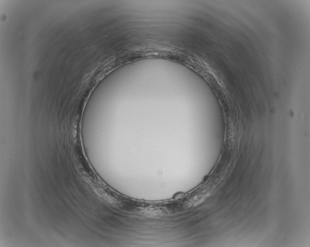 X0000085800545200703161002