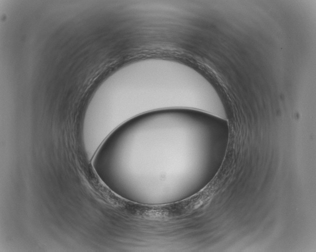 X0000085800546200703161002