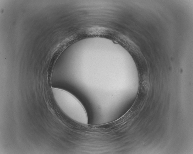 X0000085800547200703161002