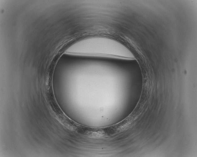X0000085800548200703161002