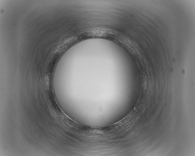 X0000085800551200703161002