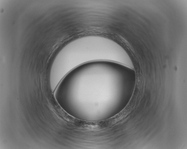 X0000085800552200703161002