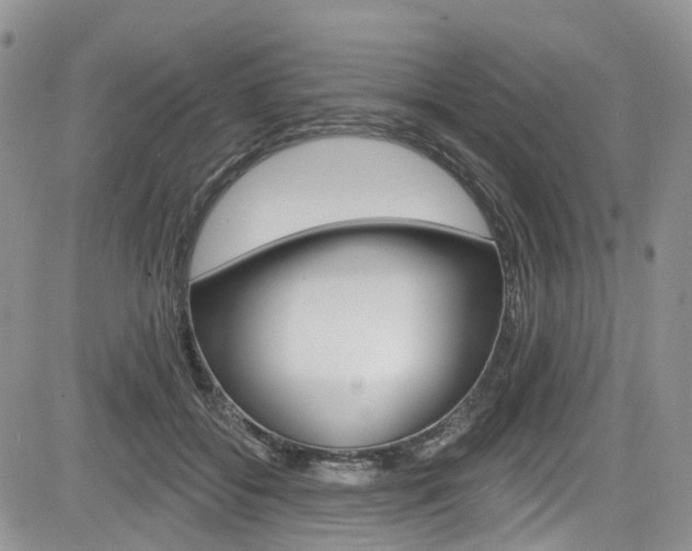 X0000085800556200703161002