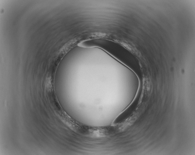 X0000085800564200703161002