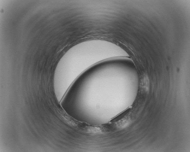 X0000085800572200703161003