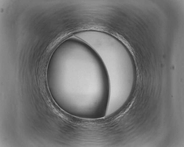 X0000085800577200703161002