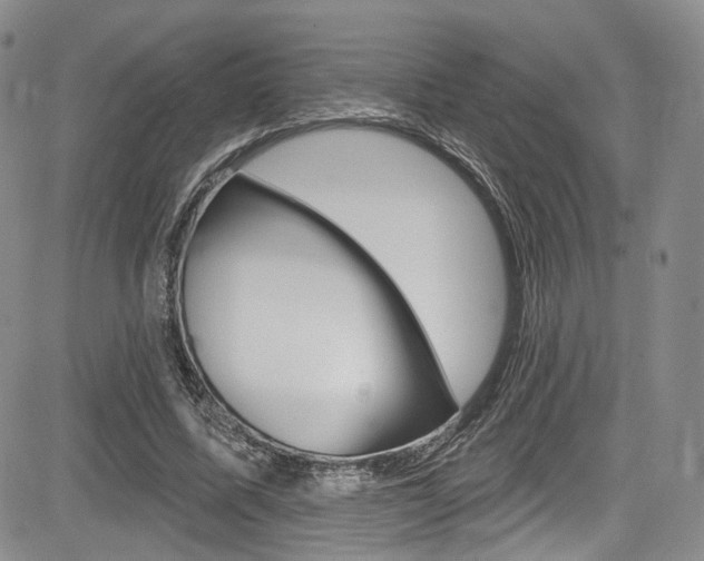 X0000085800587200703161002
