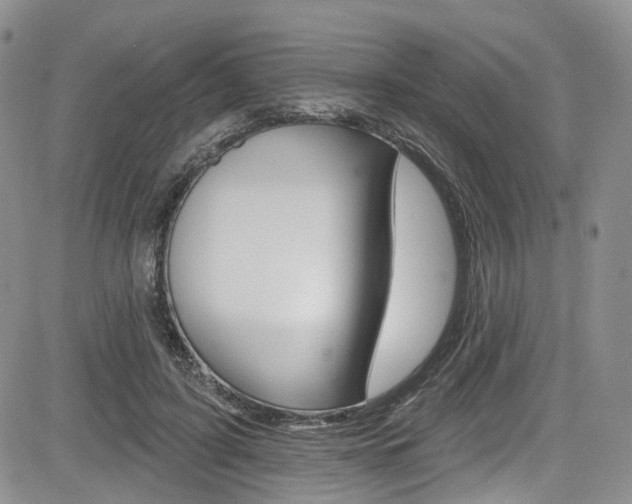 X0000085800595200703161001