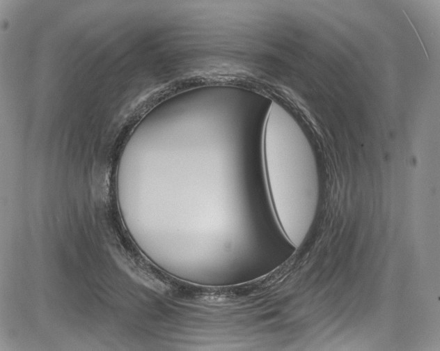 X0000085800596200703161001