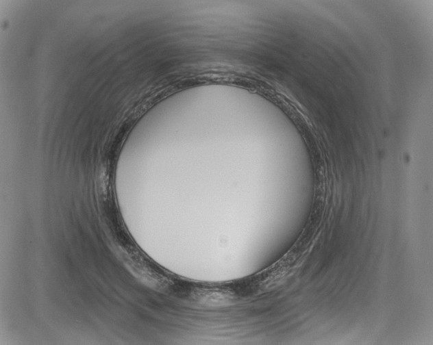 X0000085800597200703161001