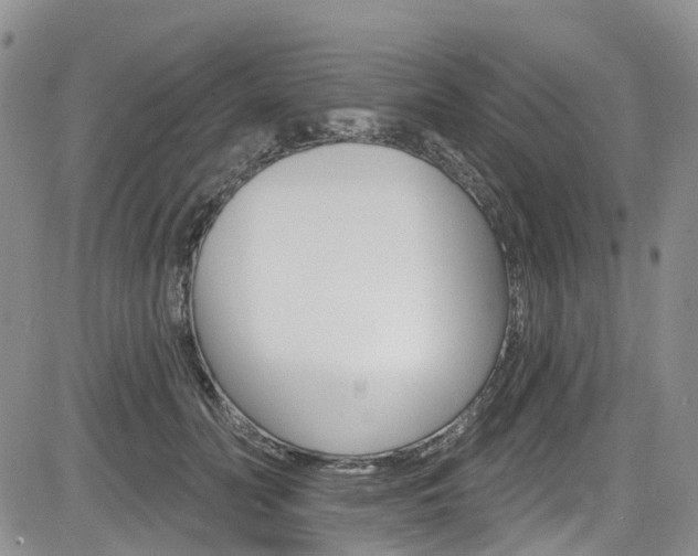 X0000085800606200703161001