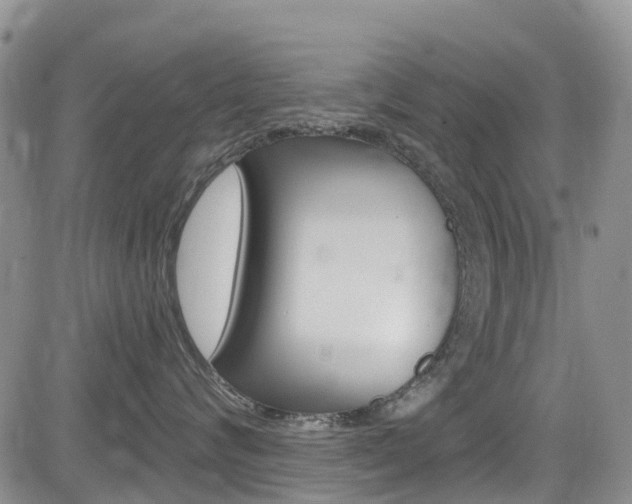 X0000085800624200703161001