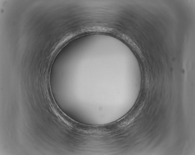 X0000085800625200703161000