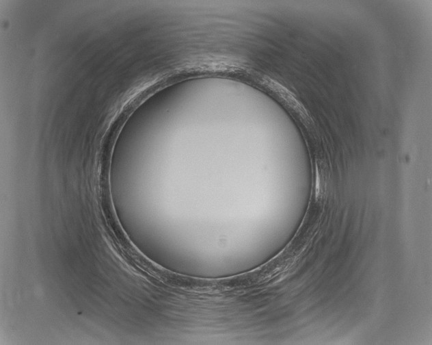 X0000085800627200703161000