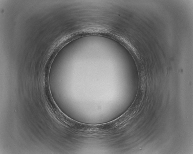 X0000085800631200703161000
