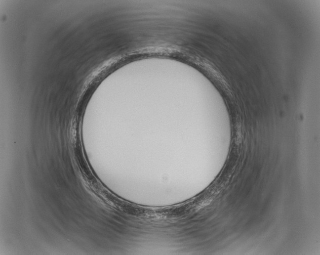 X0000085800632200703161000
