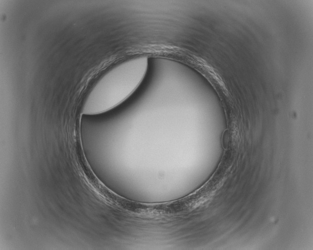 X0000085800633200703161000