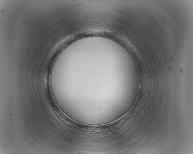 X0000085800640200703161000