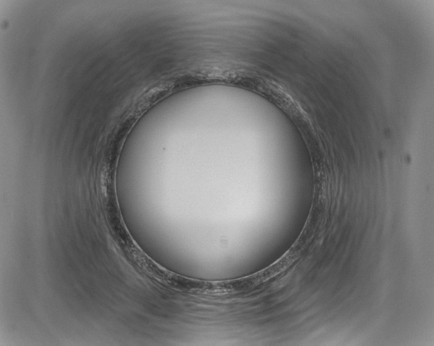 X0000085800643200703161000