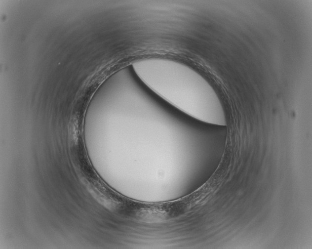 X0000085800644200703161000