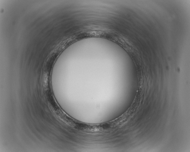 X0000085800646200703161000