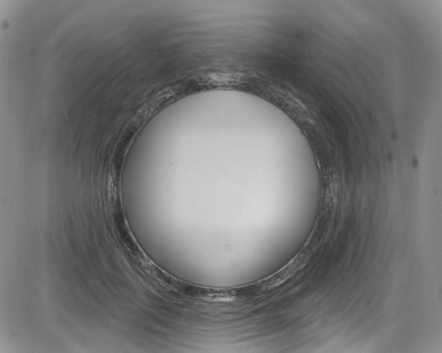X0000085800651200703161001