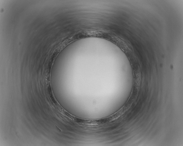 X0000085800653200703161001